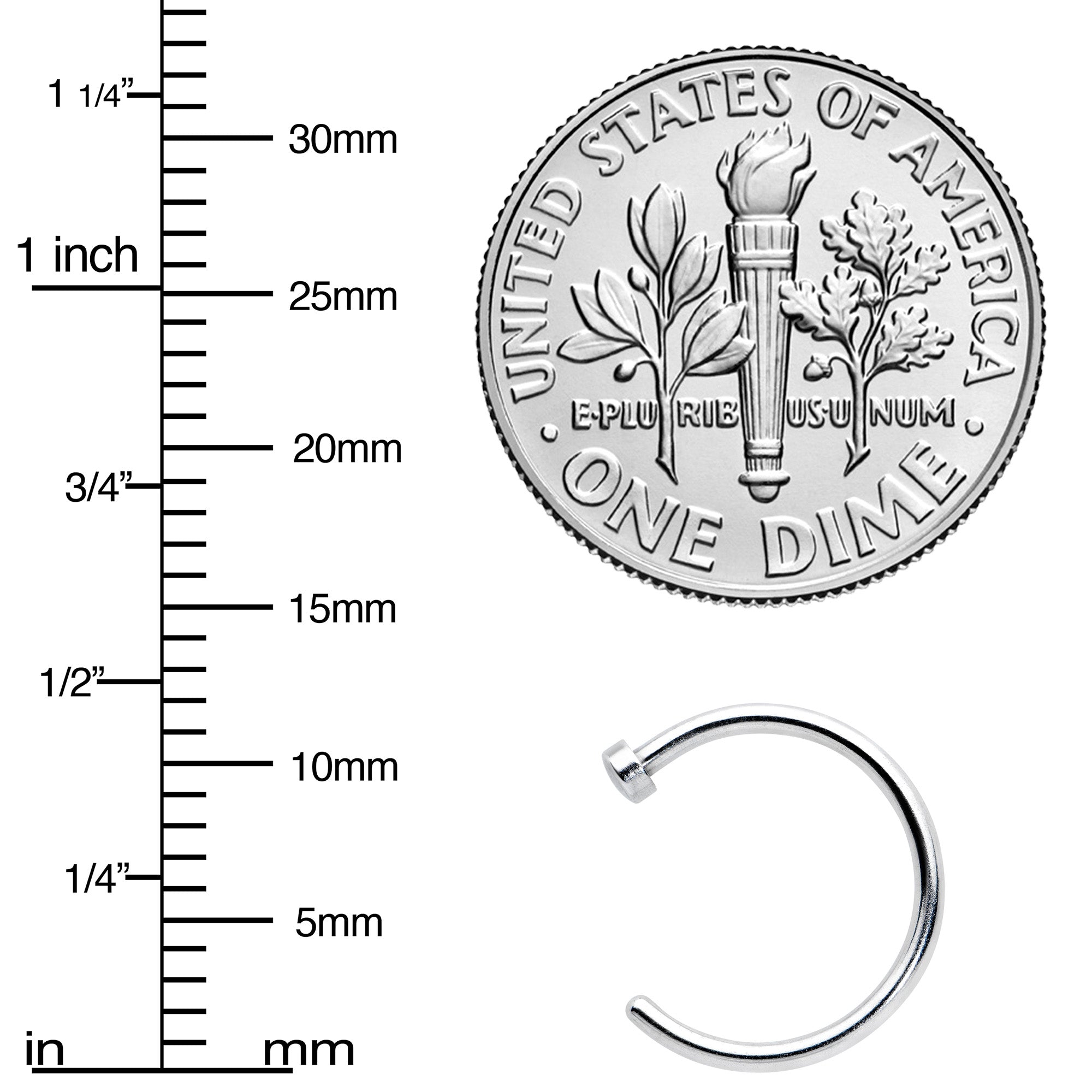 18G Stainless Steel Nose Hoop - 3/8