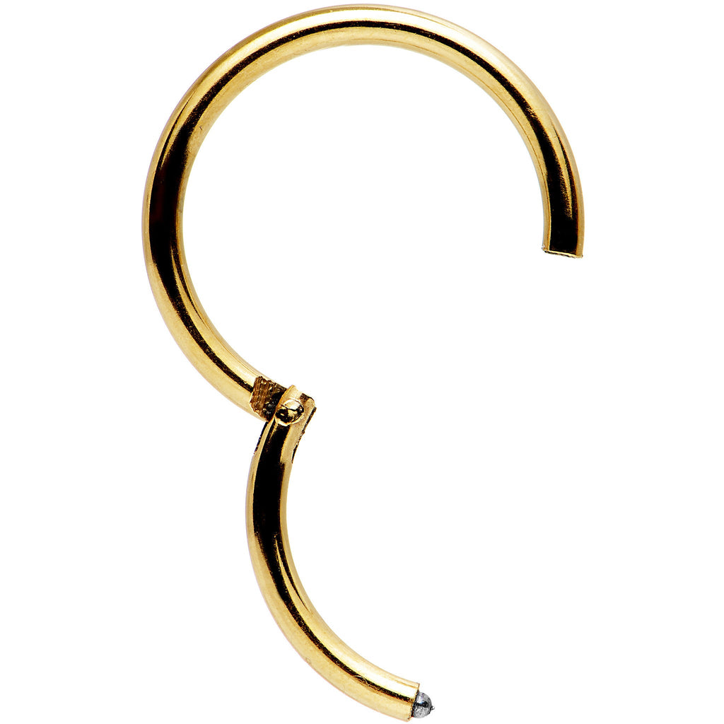 16G 3/8 Gold Tone Anodized Hinged Segment Ring