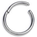 18G 5/16  ASTM F-136 Titainum Percision Hinged Segment Hoop