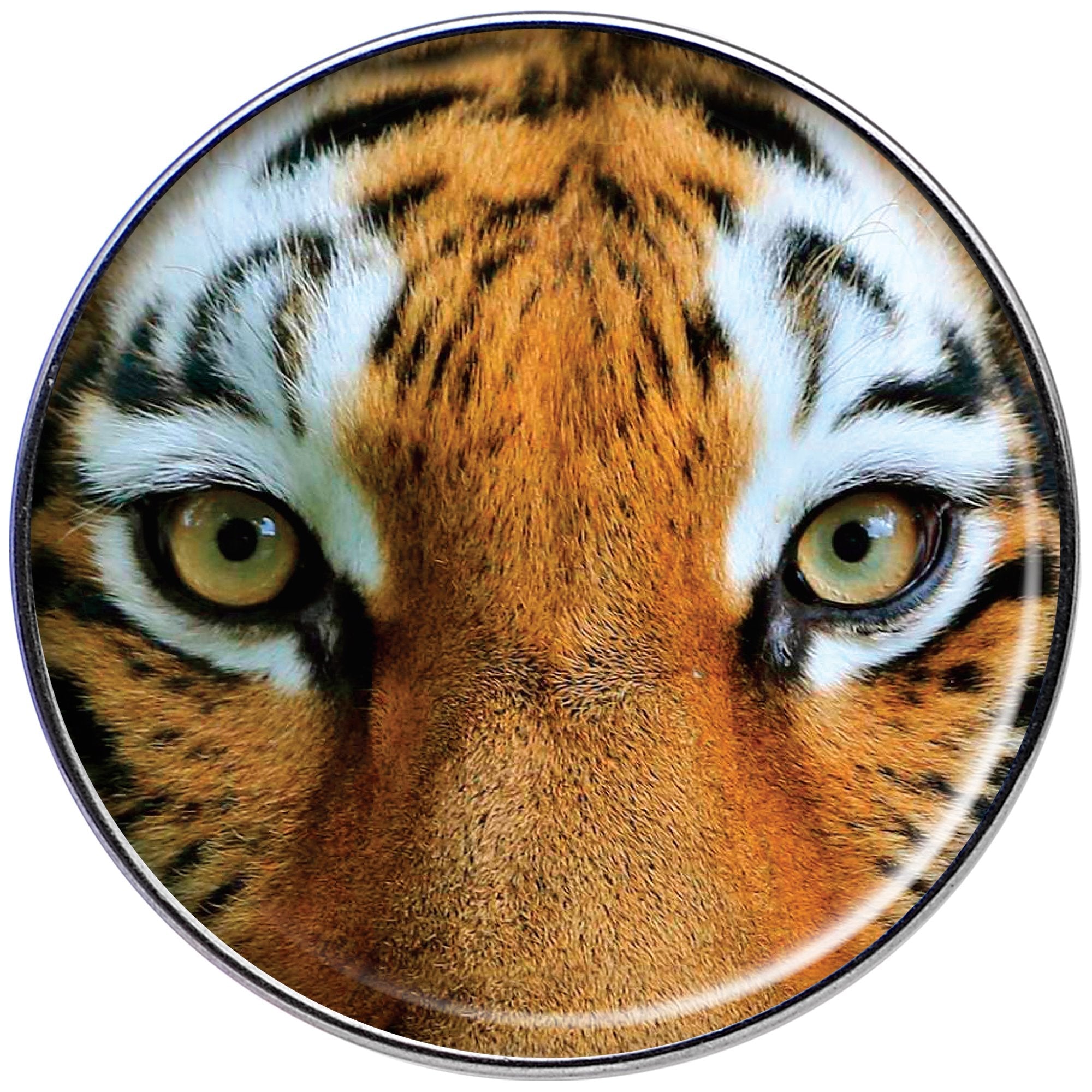 16G 1/4 Full Color Tiger Eyes Tragus Cartilage Earring